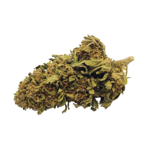 Jack Herer® - Indoor - Delta-9-THC
