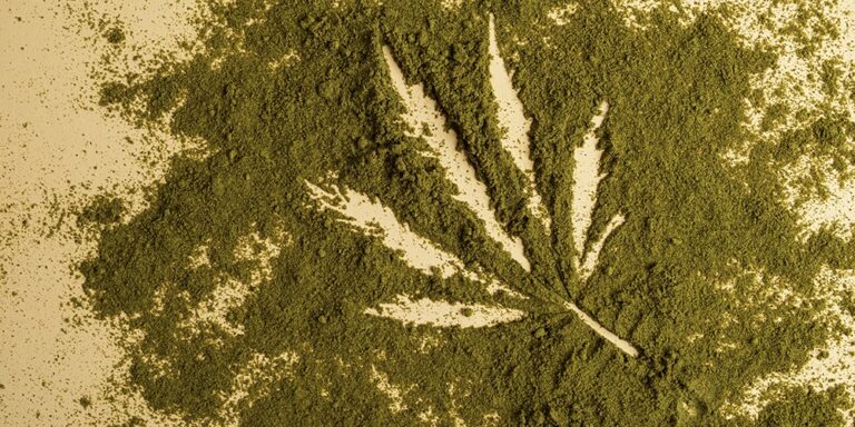 etats unis USA cannabis legal