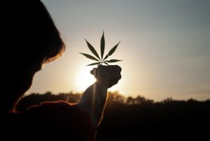 depistage du cannabis dans le sang