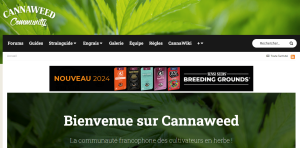 cannaweed site communauté cannabis