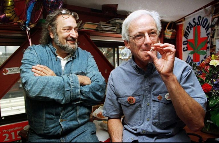 culture cannabis jack herer
