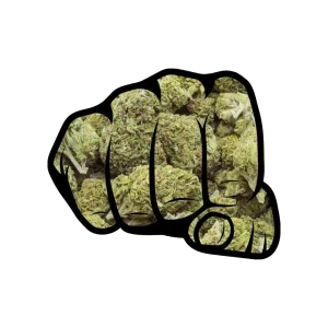 Box qui frappe ! Delta-9 (100 Gr)