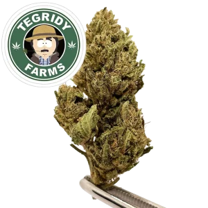Tegridy Farms x South Park - Delta-9-THC