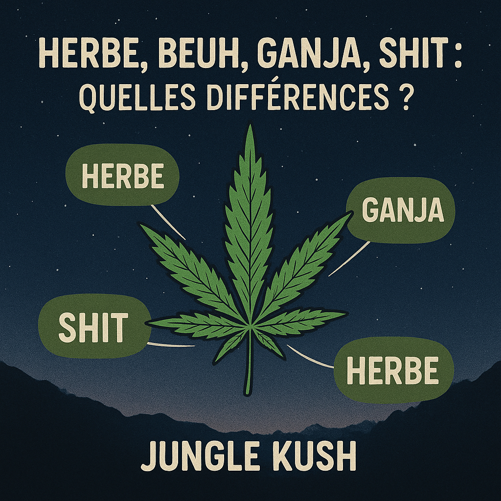 junglekush.fr herbe beuh shit ganja