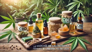 CBD en France