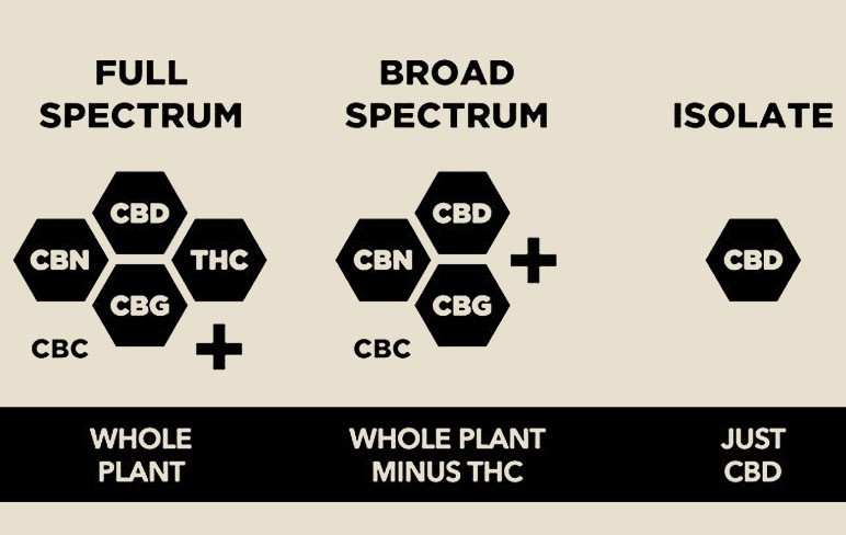 cbd-difference-fullspectrum