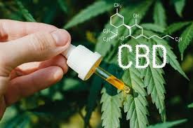 Analyste de laboratoire spécialisé dans le CBD