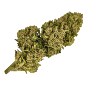 Bubble Gum - Delta-9-THC - Hydro