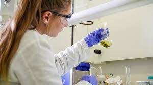 Chercheur en cannabis médical