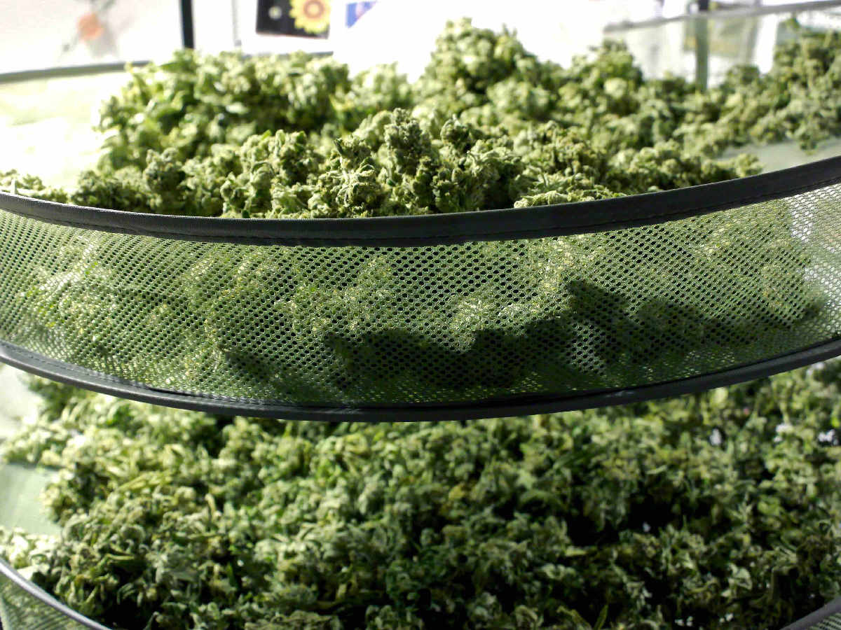 Techniques de séchage du cannabis