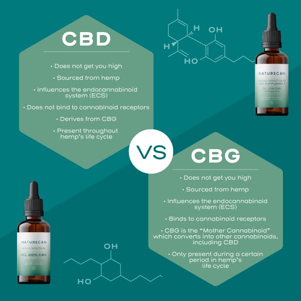 cbd vs cbg cbd vs cbg