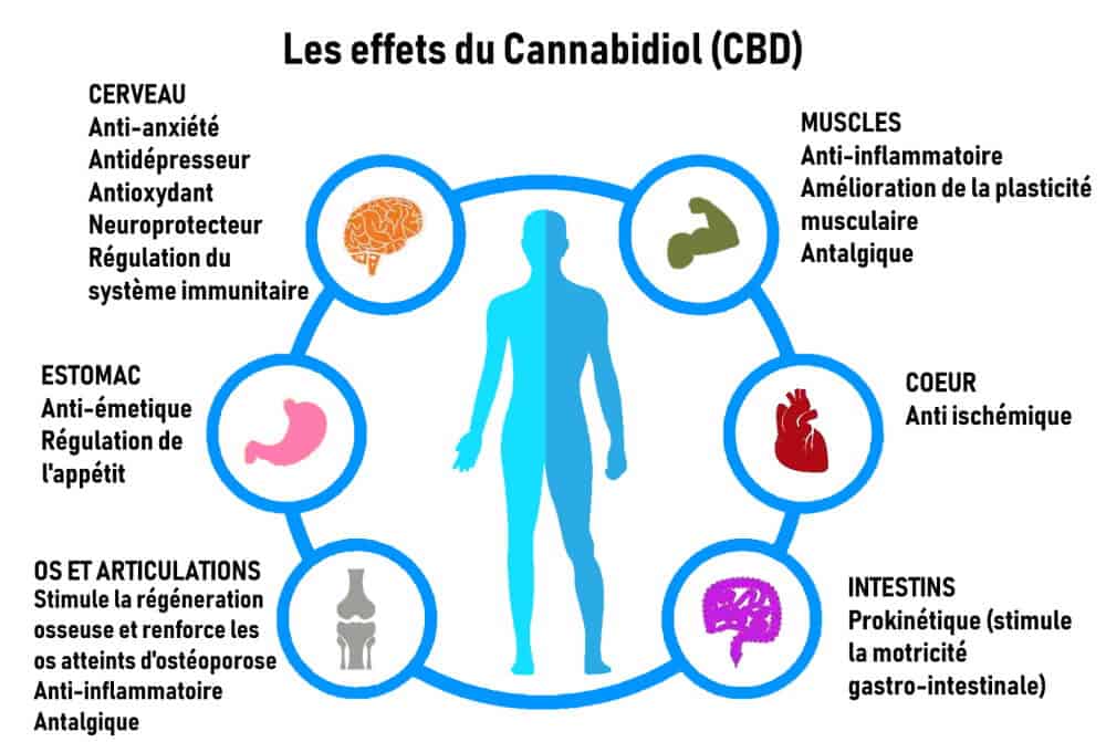 effets-du-CBD-1