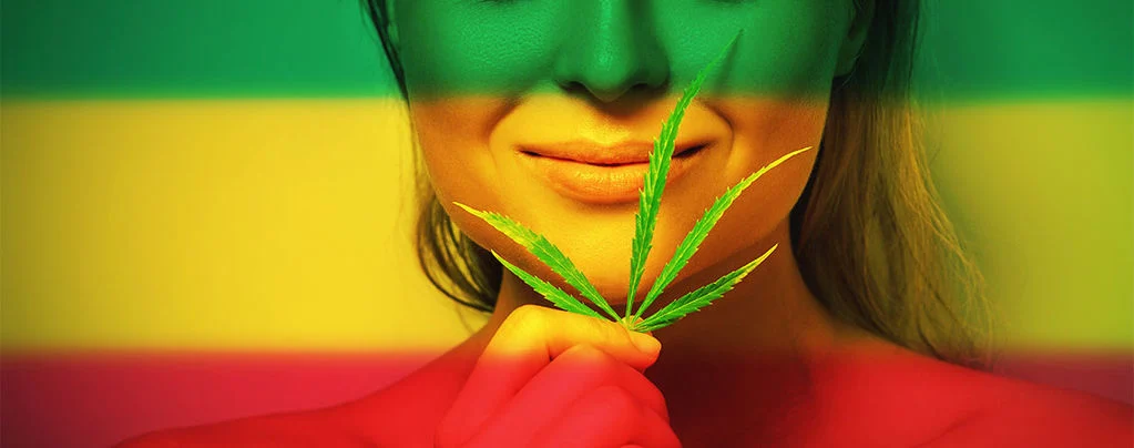 mouvement cannabis mouvement cannabis