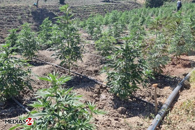 Choisir l'espace de culture