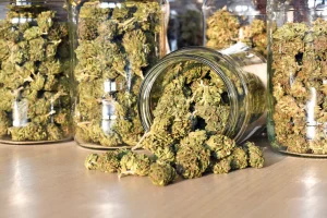 peut-on mélanger plusieurs types cannabinoïdes