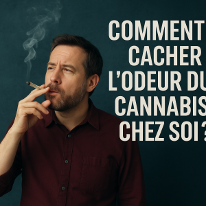 Comment cacher l’odeur du cannabis chez soi