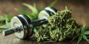 CBD et sports extrêmes2