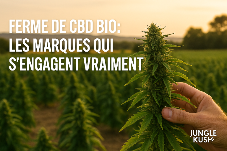 jungle kush acheter du cbd bio