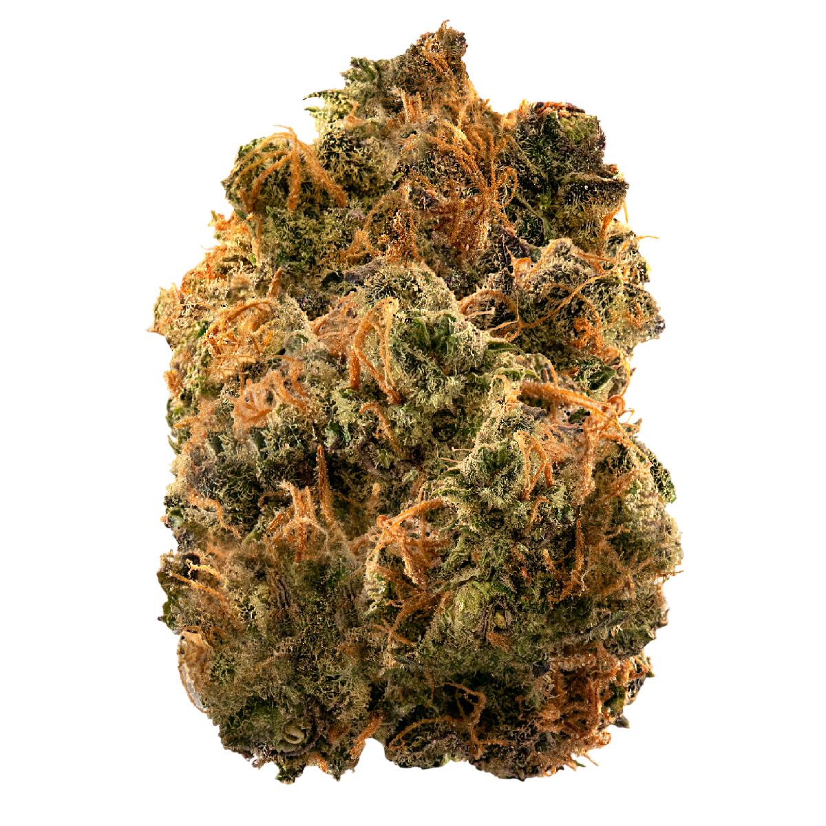 Dancehall 1 Dancehall 1