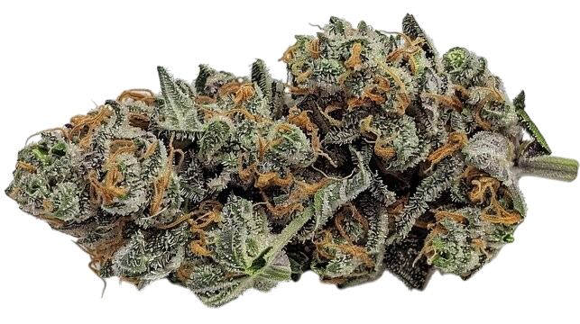 Green Crack cannabis