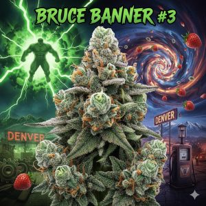 Bruce Banner #3