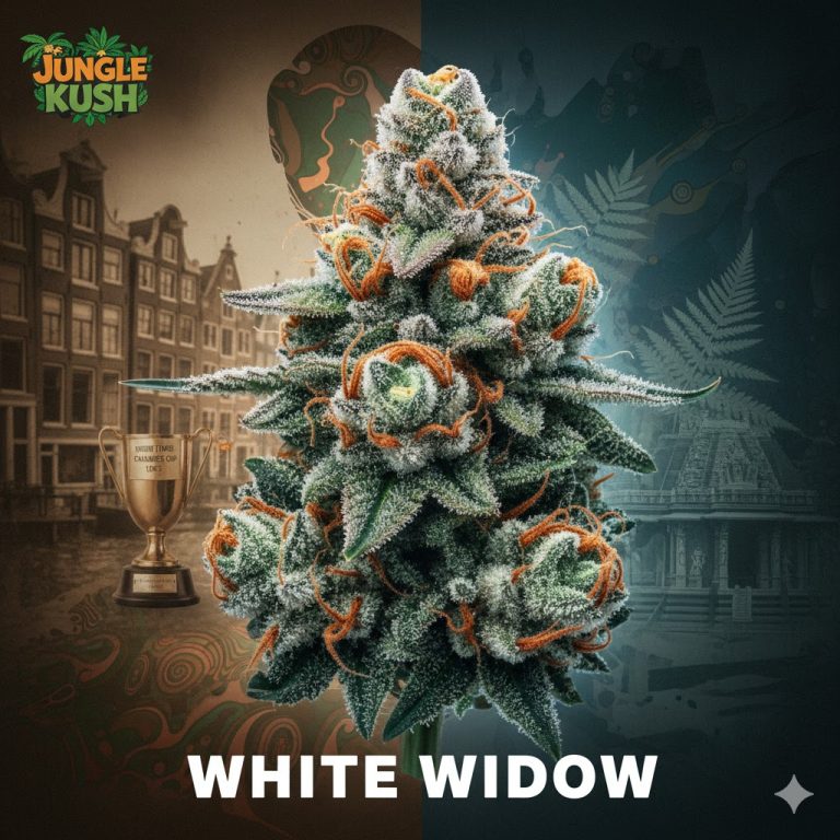 White Widow