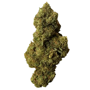 Animal Tsunami - Delta-9 & 10-OH+ - Thaï x USA Indoor