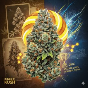 Candy Kush1