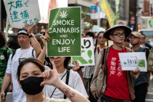 cannabis est il légal au Japon