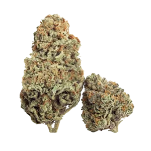Critical AK-47 – 29% CBDX-CB9