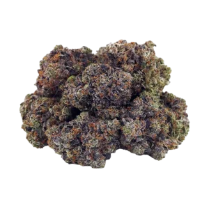 Mike Tyson – MCPN-10-OH+