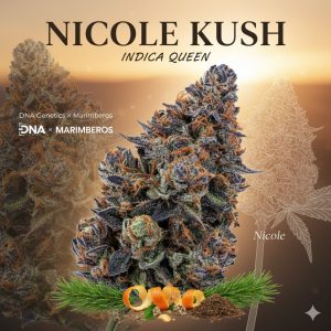 Nicole Kush