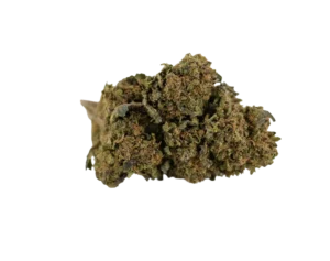 Gorilla Glue