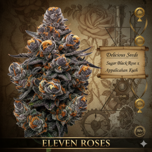 Eleven Roses