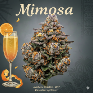 Mimosa