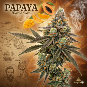 Papaya