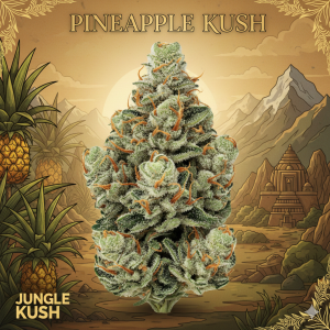 Pineapple Kush