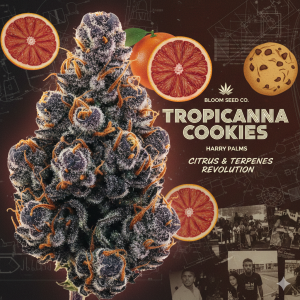 Tropicanna Cookies