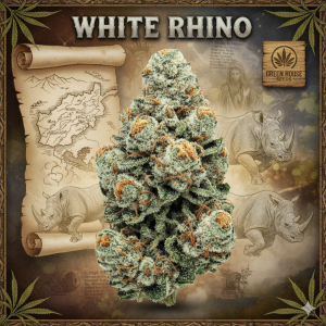 White Rhino
