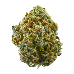 Blue Dreamatic