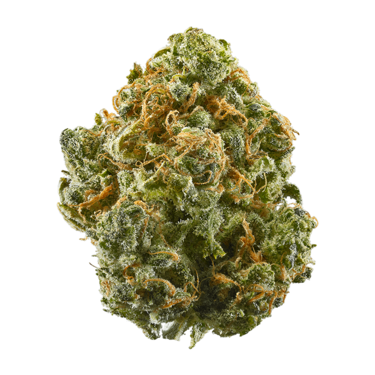 Blue Dreamatic