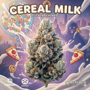 Cereal Milk