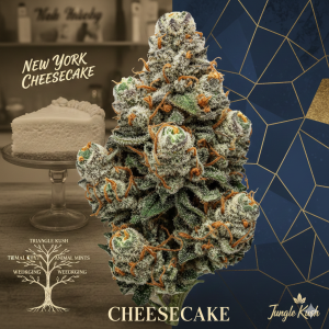 Cheesecake