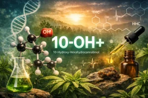 10 OH cbd
