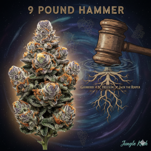 9 Pound Hammer