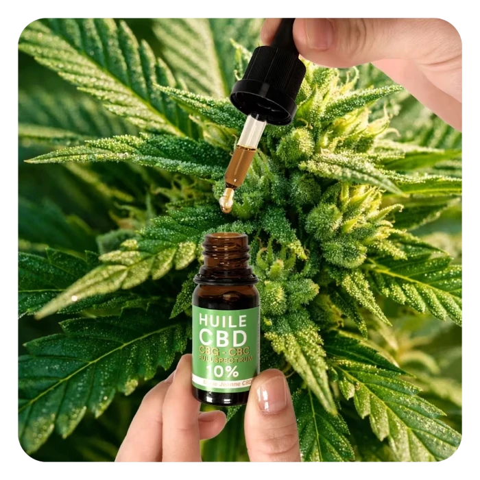 huile cbd 40%