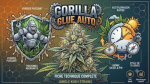 Gorilla Glue Auto