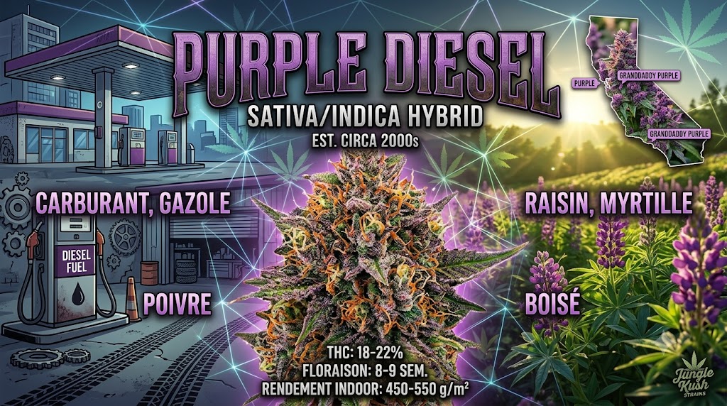 Purple Diesel