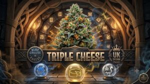 Triple Cheese
