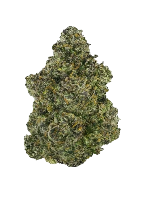 Super Glue cannab Super Glue cannabis